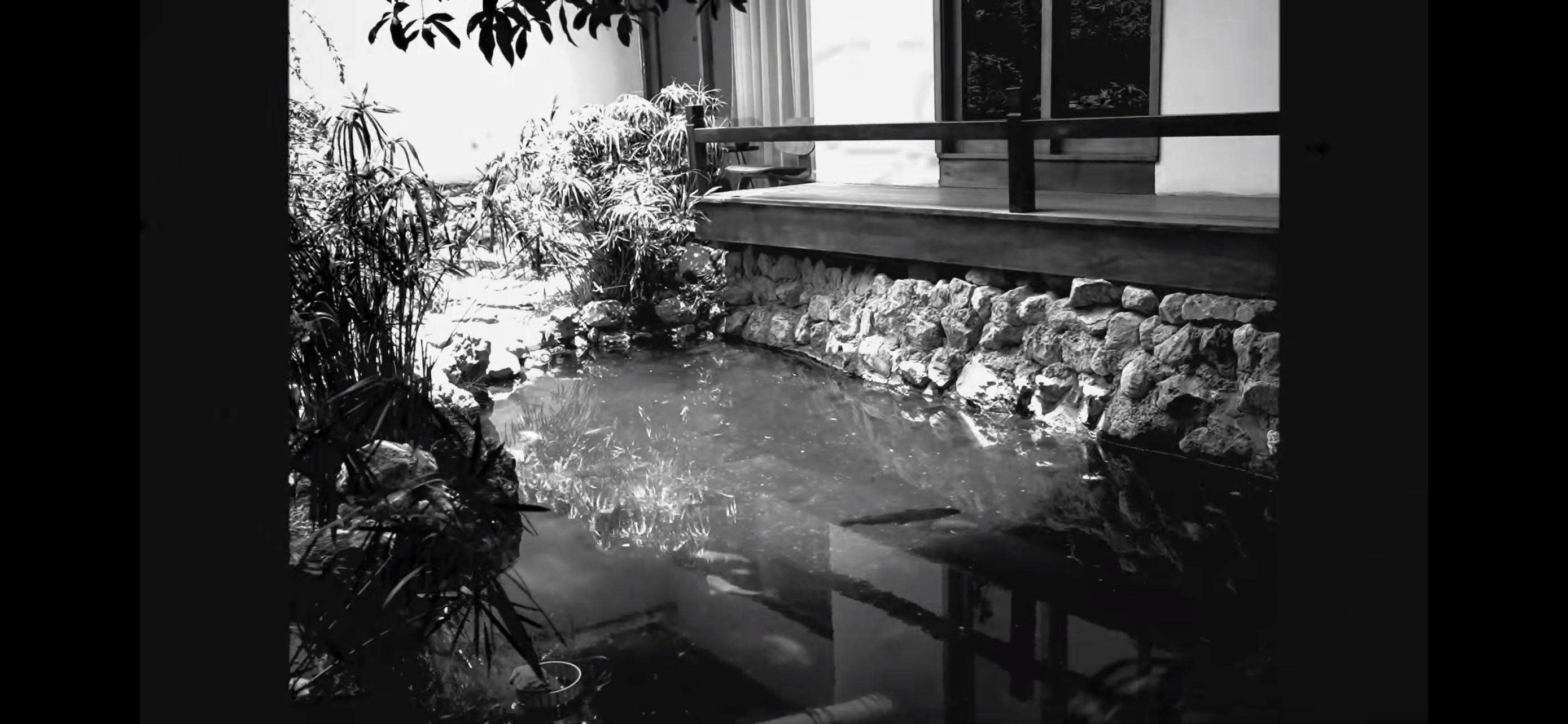庭院、水面与时间感 / Courtyard, water and a sense of time